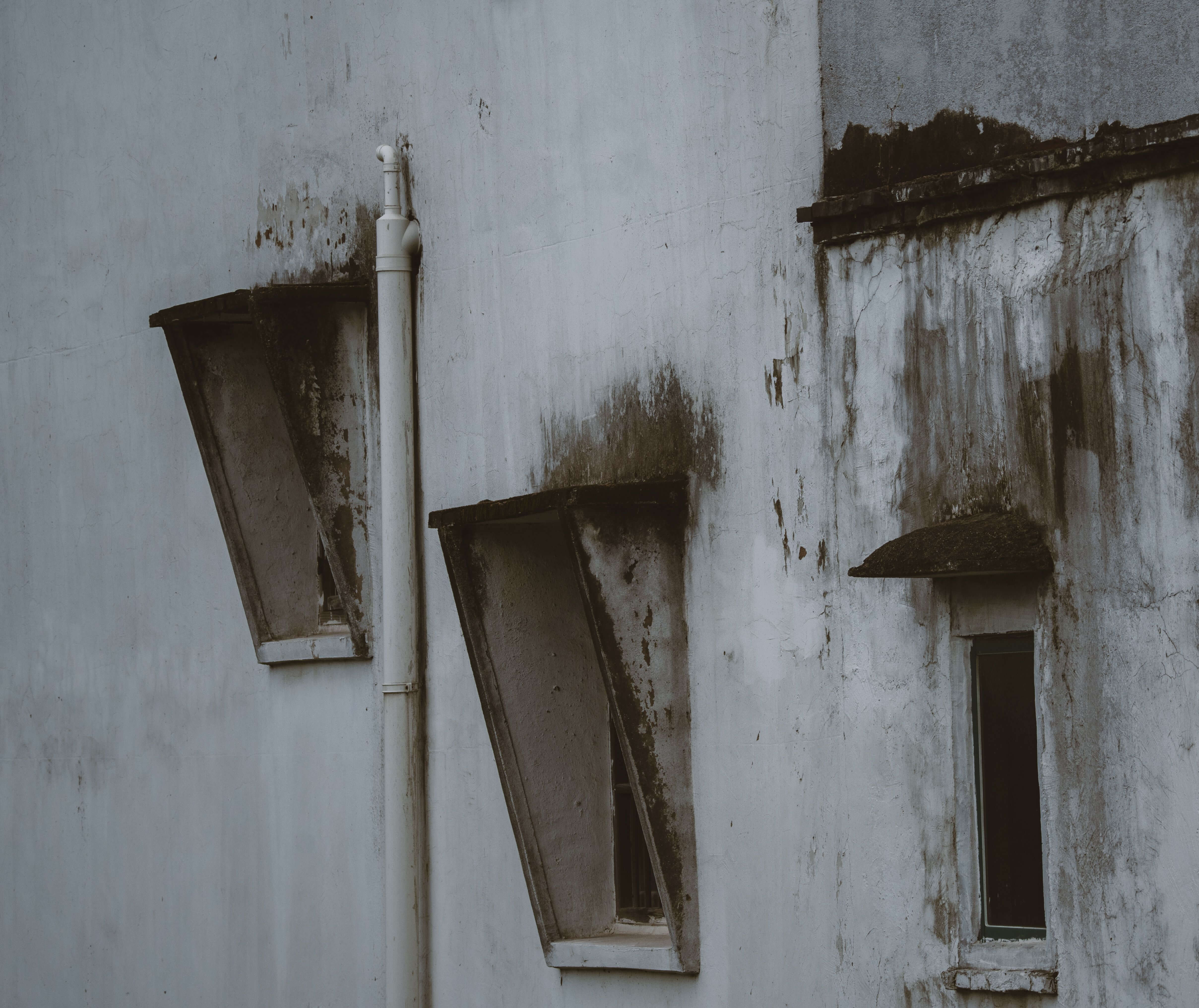Blog Detail Background